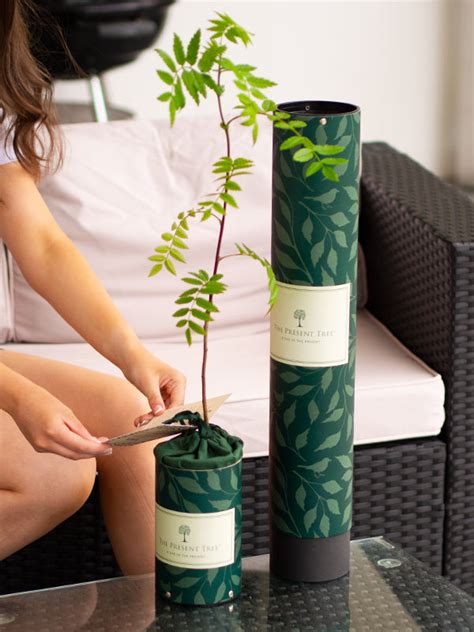 rowan tree gifts discount code